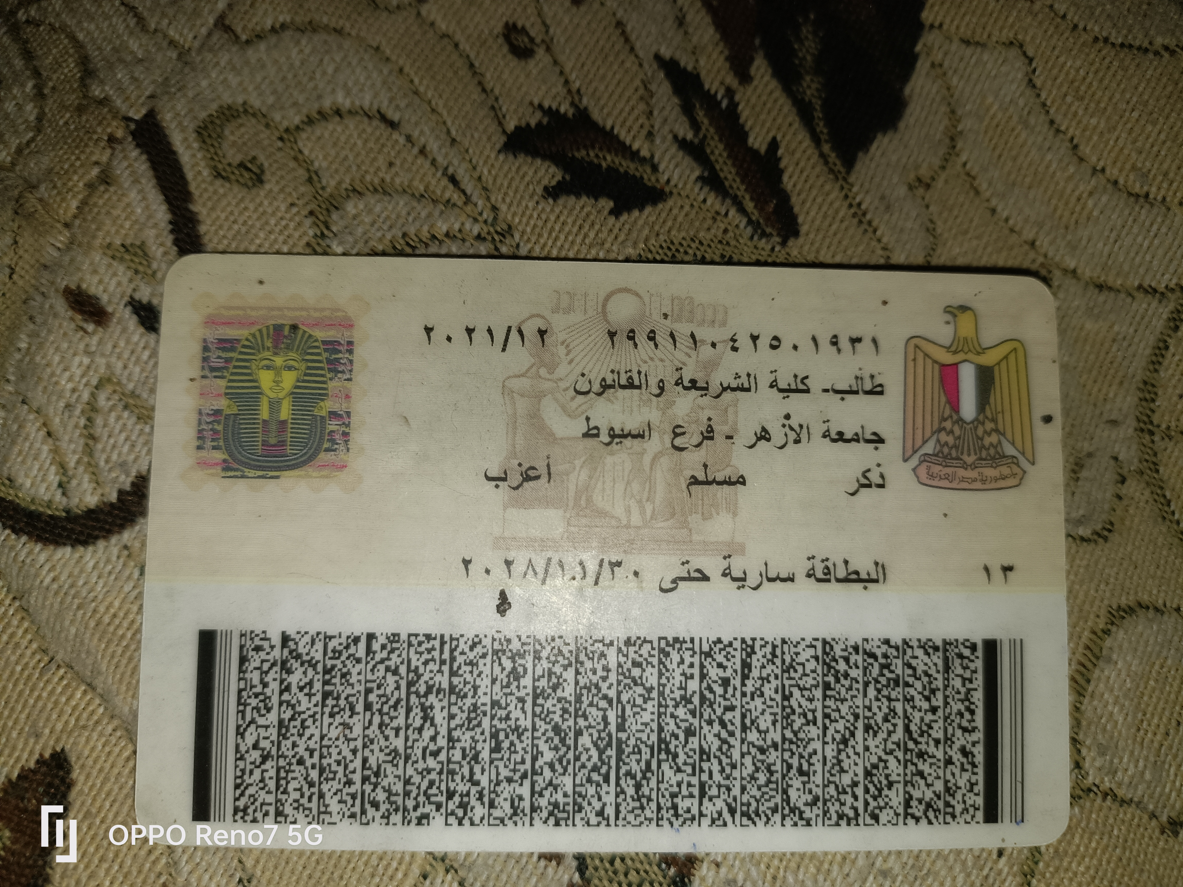 Ali Youssef's Image