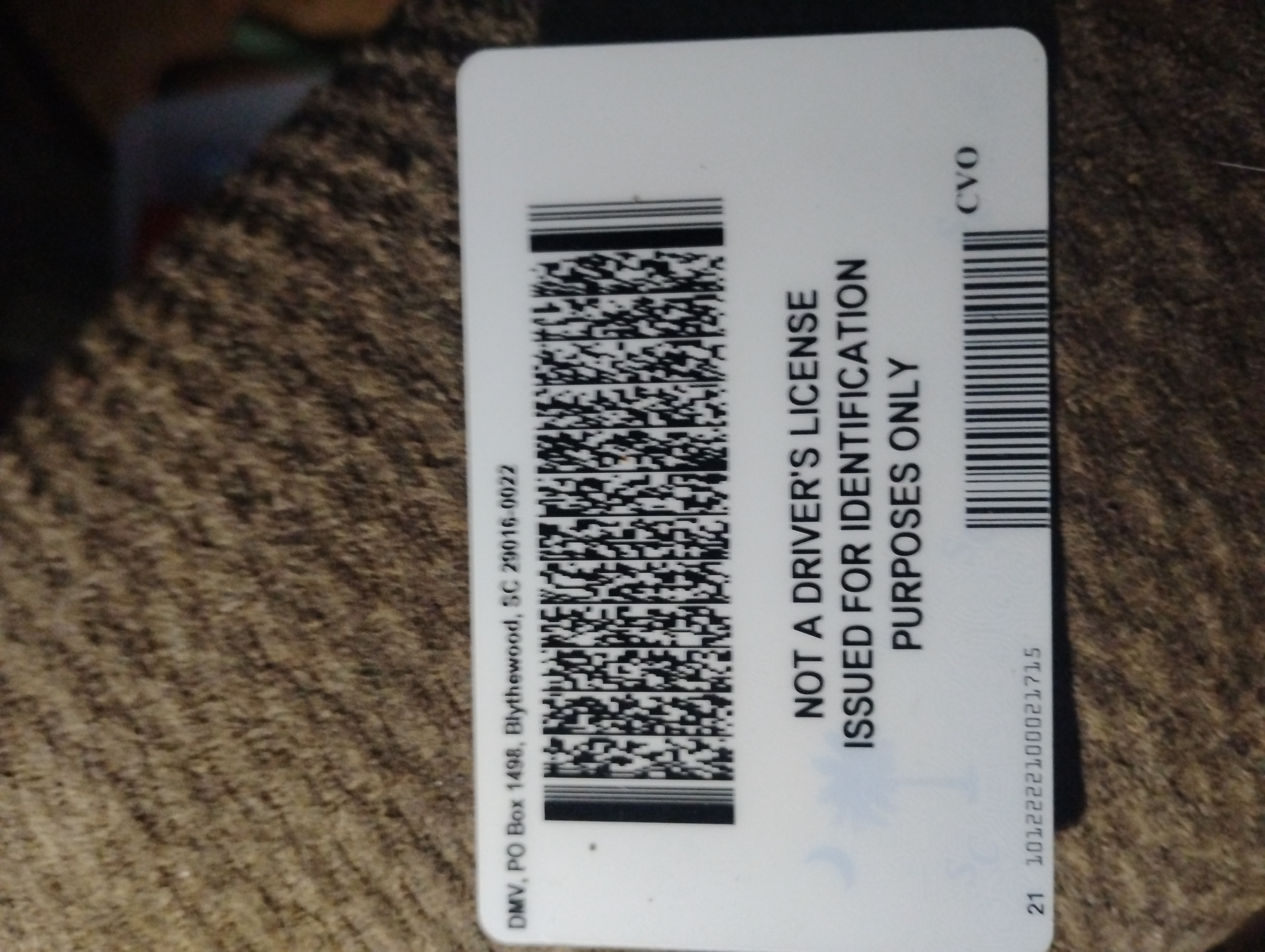 Chris123's Image