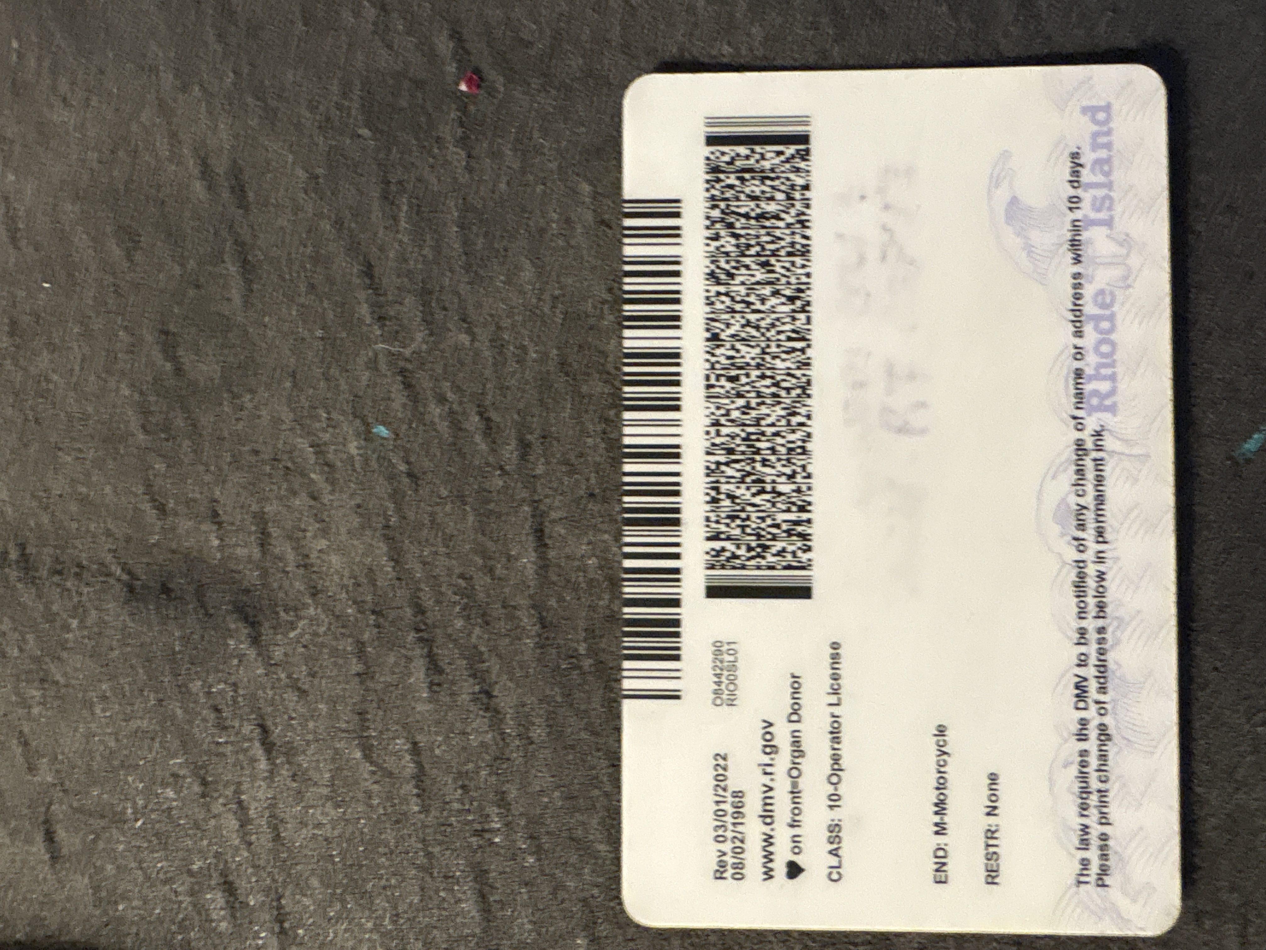 ChloeKaren123!'s Image